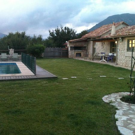 Ελαιών ξενώνας Ελληνικό Εξωτερικό φωτογραφία