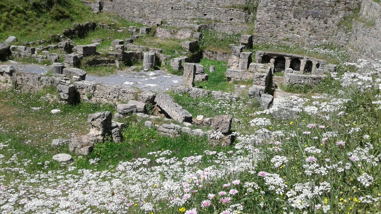 Ελαιών ξενώνας Ελληνικό Εξωτερικό φωτογραφία